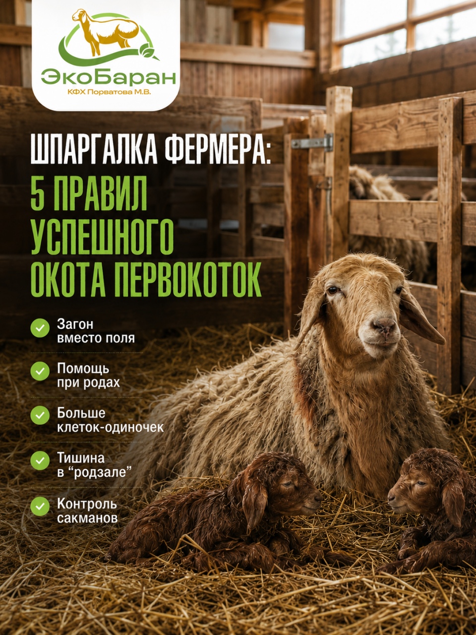 Портрет человека