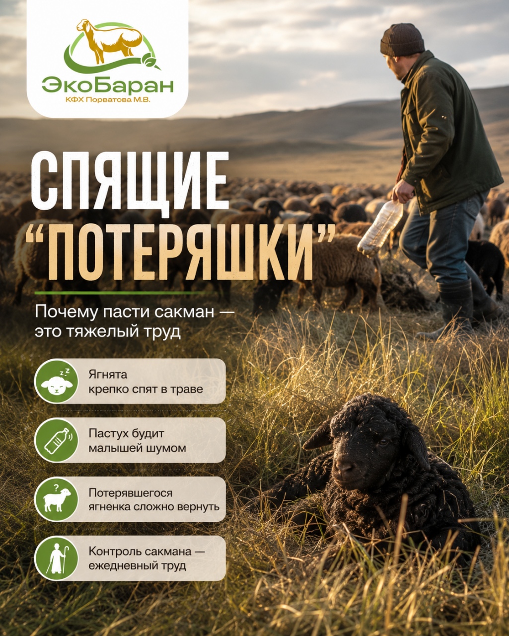 Портрет человека