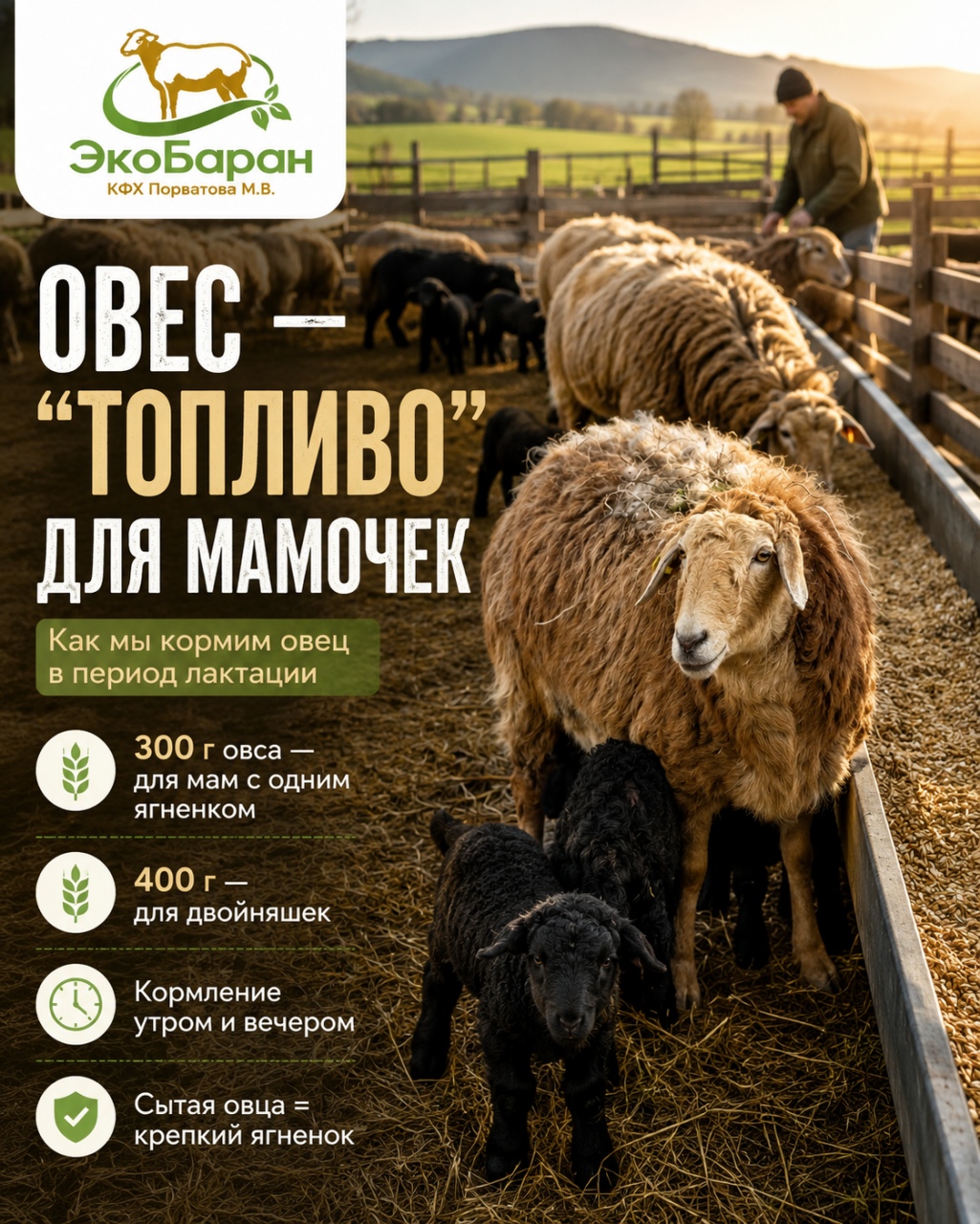 Портрет человека
