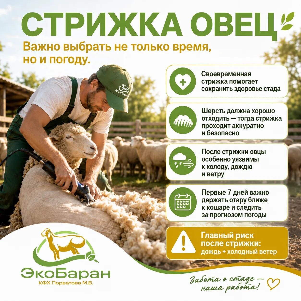 Портрет человека